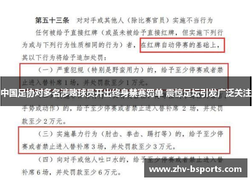 中国足协对多名涉赌球员开出终身禁赛罚单 震惊足坛引发广泛关注 中国足协对多名涉赌球员开出终身禁赛罚单 震惊足坛引发广泛关注